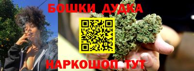 дмт Сланцы