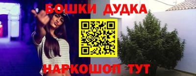 ECSTASY Славгород