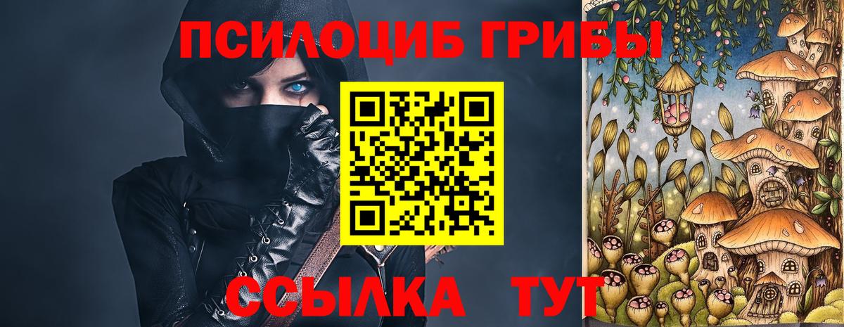 Галлюциногенные грибы Psilocybine cubensis  Псилоцибиновые грибы ЛСД  Павлово  Вход с VPN 